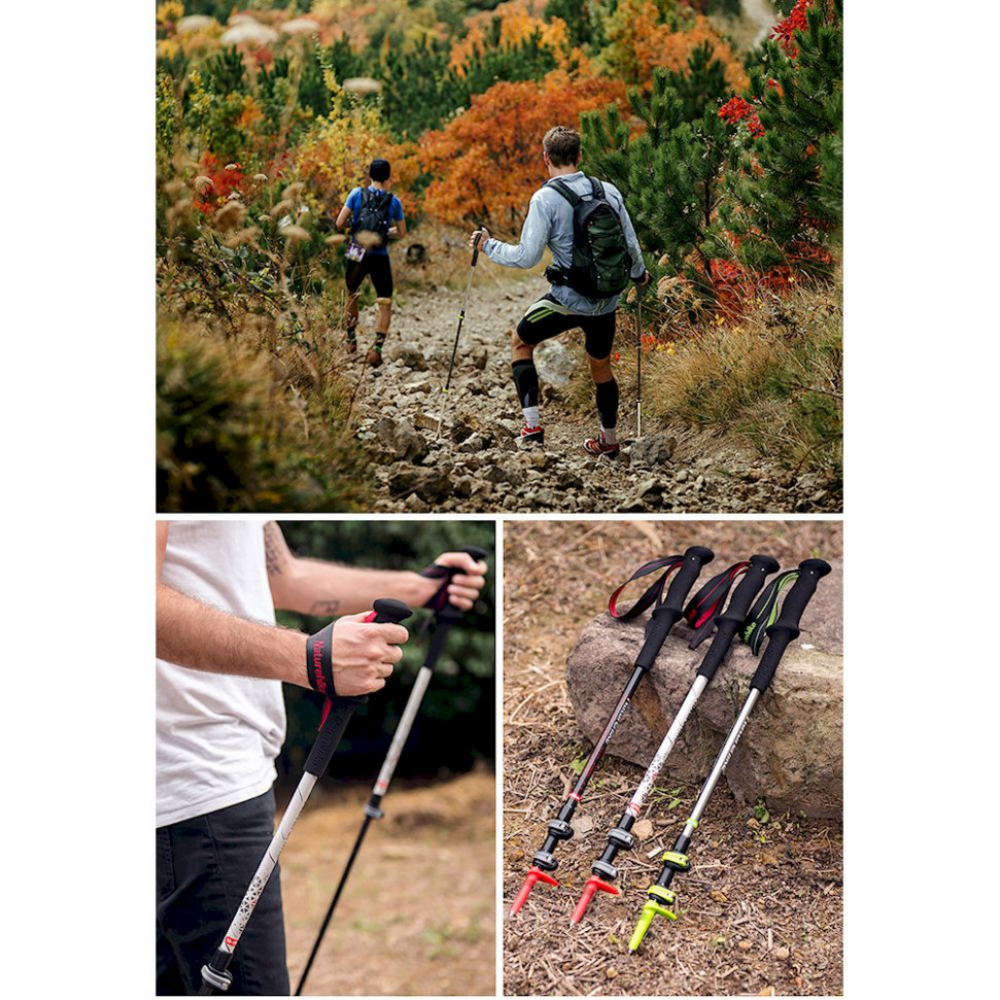 Трекінгові палиці 3-секційні Naturehike ST06 NH17D006-D, білий